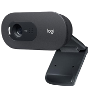 Logitech Webcam C505 HD Black