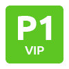 P1 VIP Zaventem