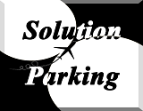 solution parking fiumicino valet