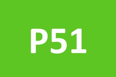 P51-horizontal