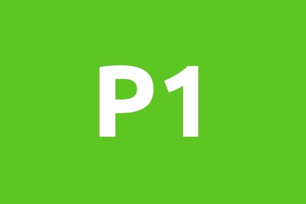 P1-horizontal