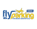 fly parking