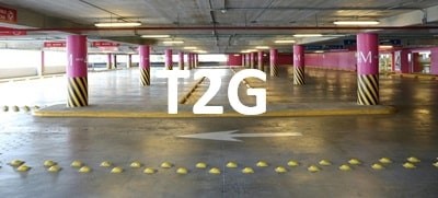 t2g