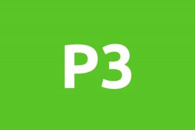 P3