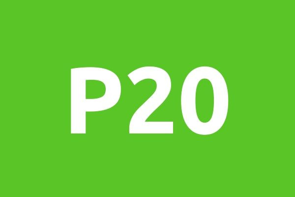 P20