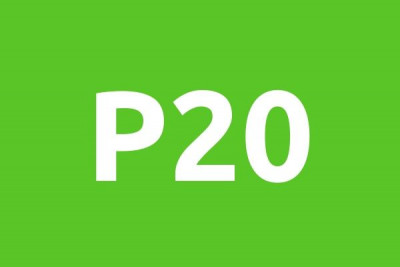 P20