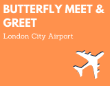 Butterfly Meet and Greet London